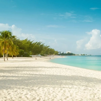 Image for choice number 3