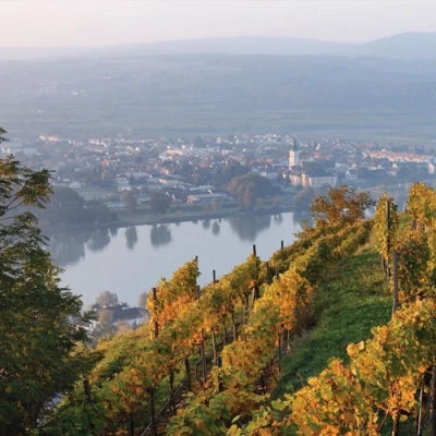 Image for choice number 4