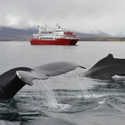 Image for choice number 1